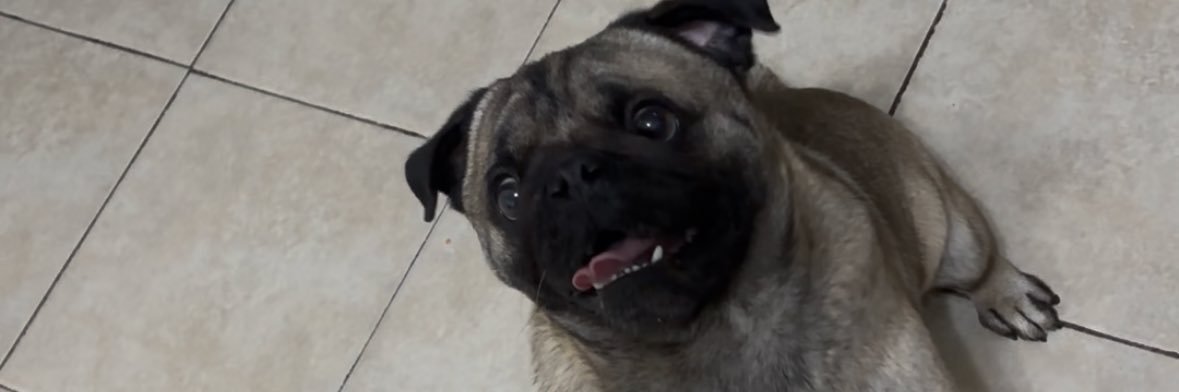 melonieddo's profile banner image