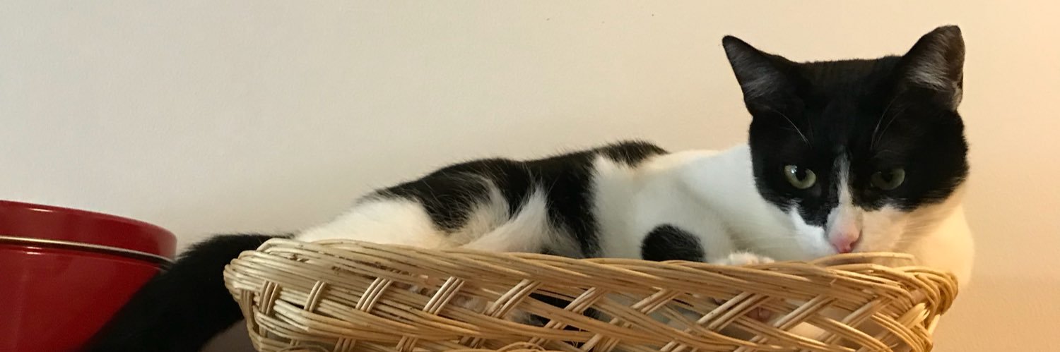 Bkidd9's profile banner image