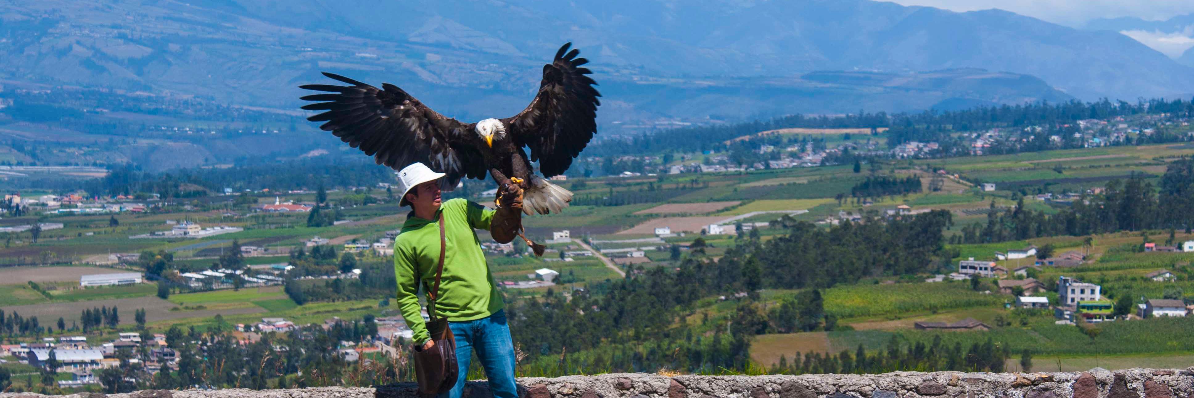 parquecondor's profile banner image