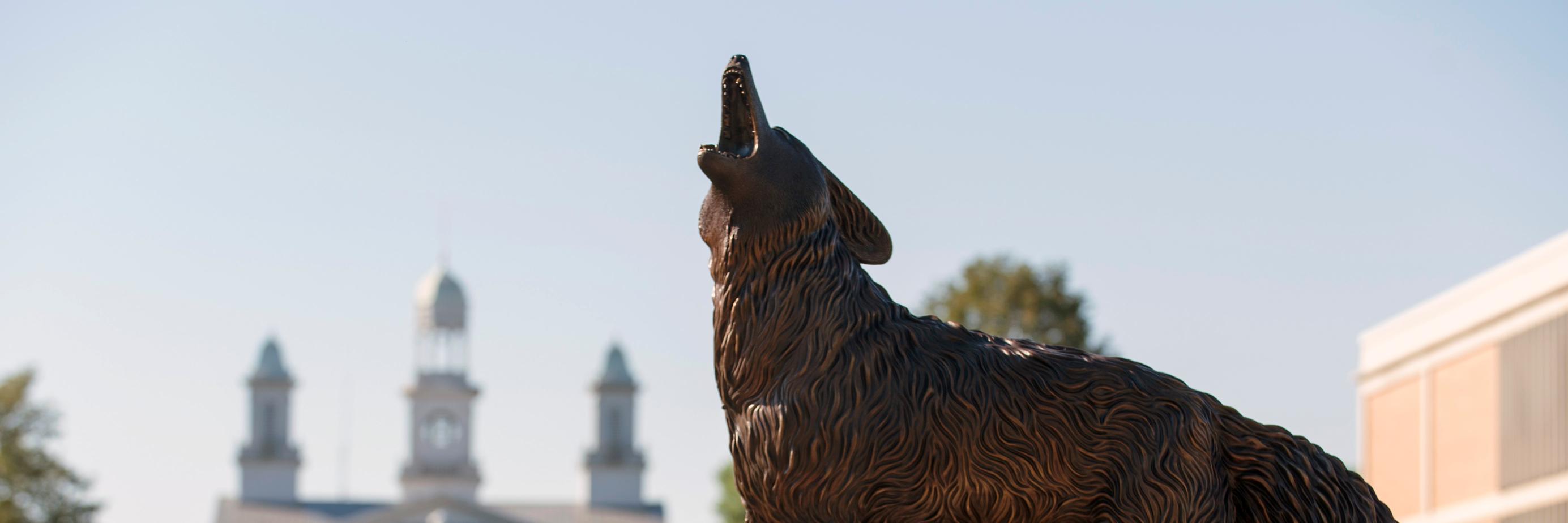 USDCommClub's profile banner image