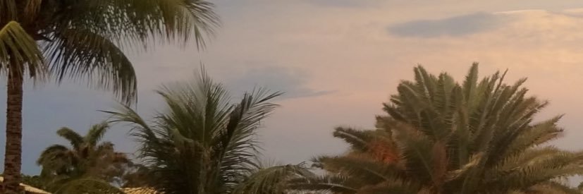fabimessner's profile banner image