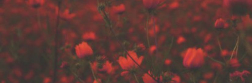 TierraMoore12's profile banner image