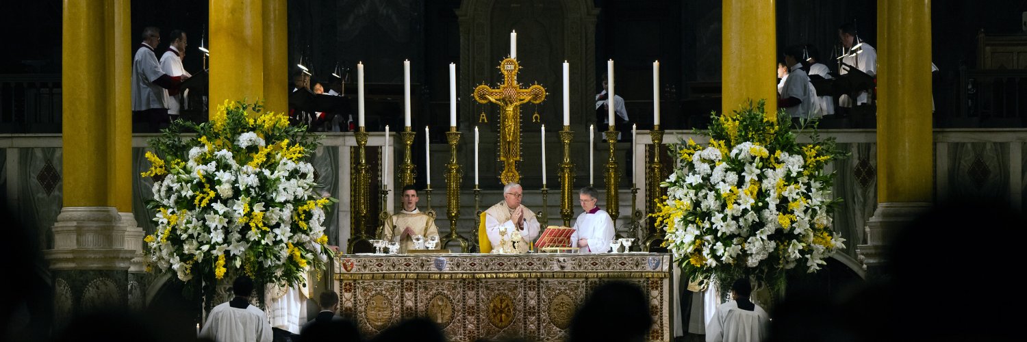 Cardinal Nichols's banner