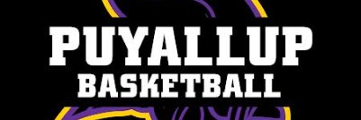 LadyViksHoops's profile banner image