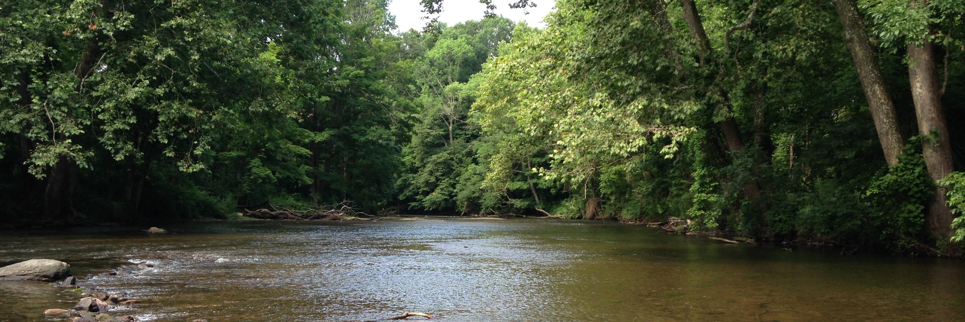 MuskyWatershed's profile banner image