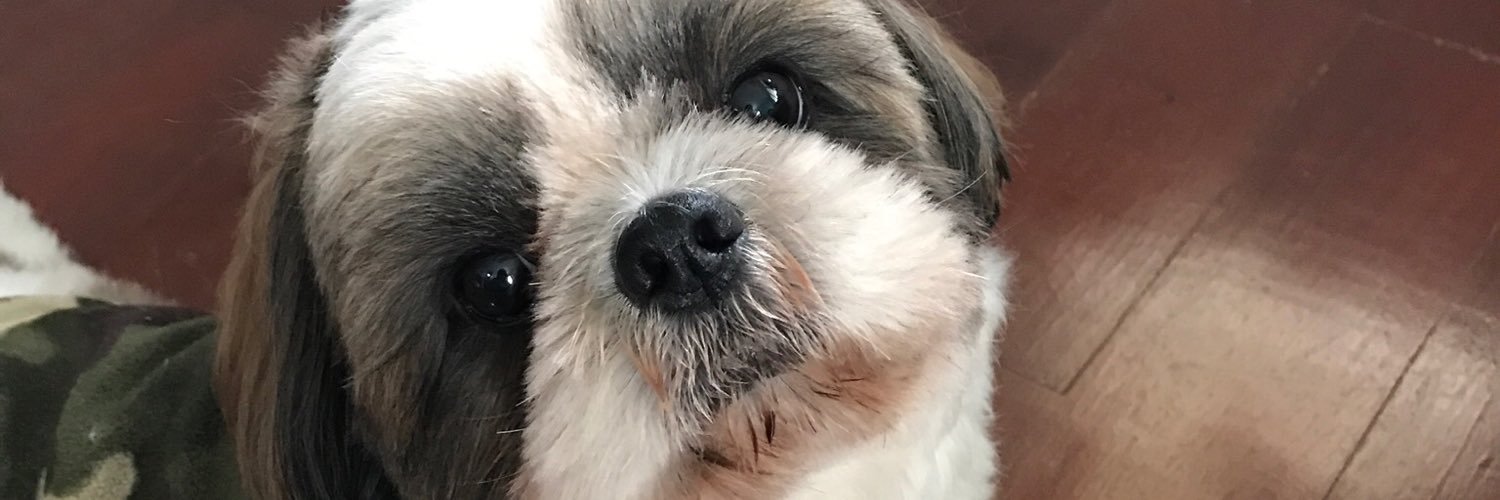 Opelllllmini's profile banner image