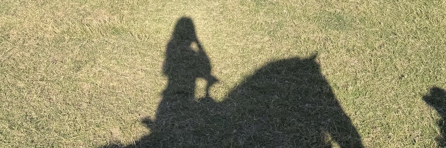melqueent's profile banner image