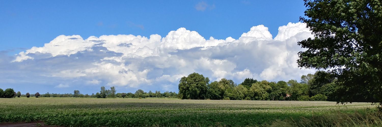 veggiejill's profile banner image