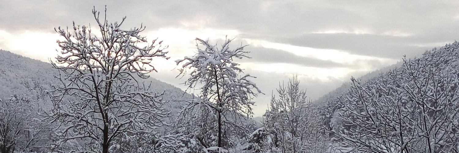 Àngels Porlan MDC banner
