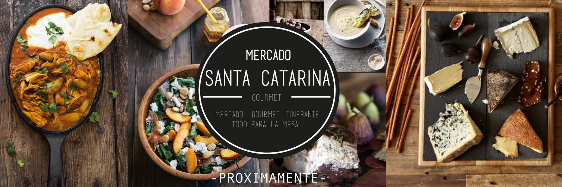 MSTACATARINA's profile banner image
