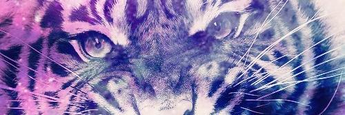 CJbihag's profile banner image