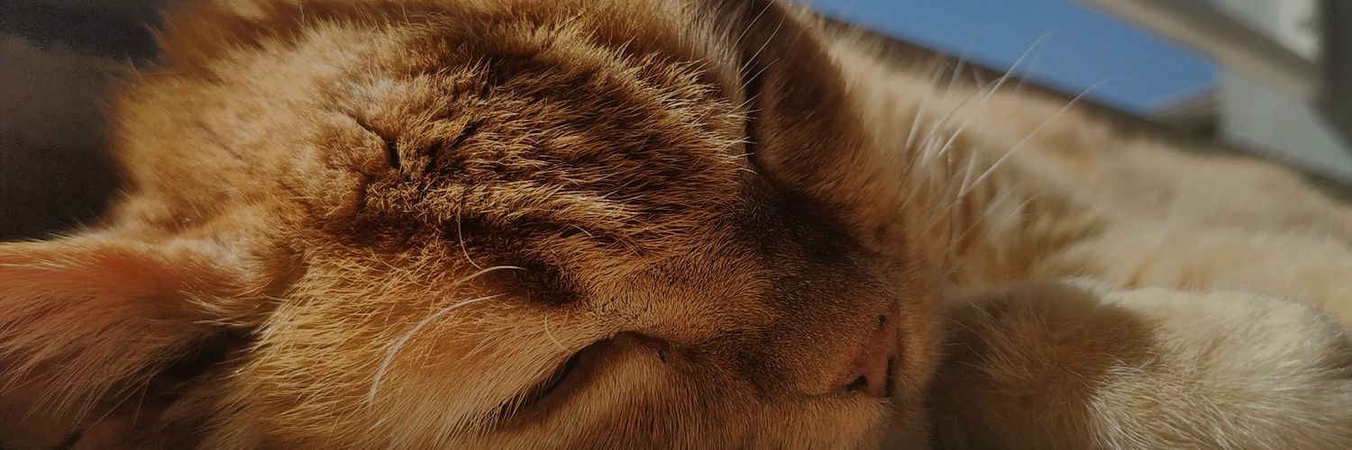 Crespilhoo's profile banner image