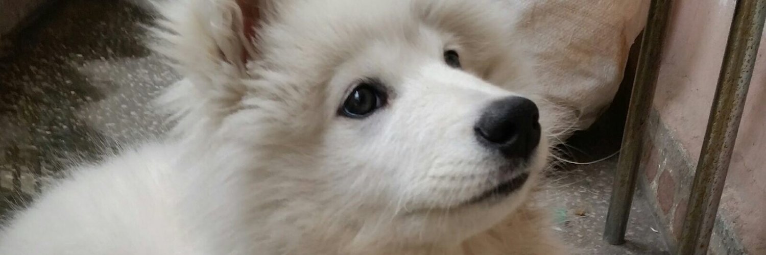 burcuyesil4's profile banner image