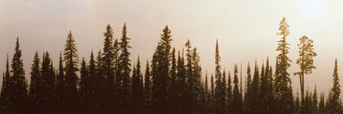 karenemackinnon's profile banner image