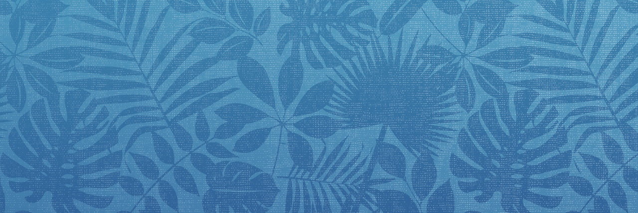 CorneliCordill's profile banner image