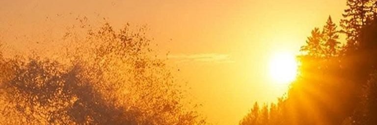 KentDyson_1's profile banner image
