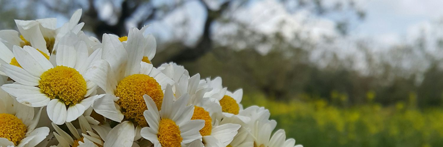 uMuT_HepVar_ol's profile banner image