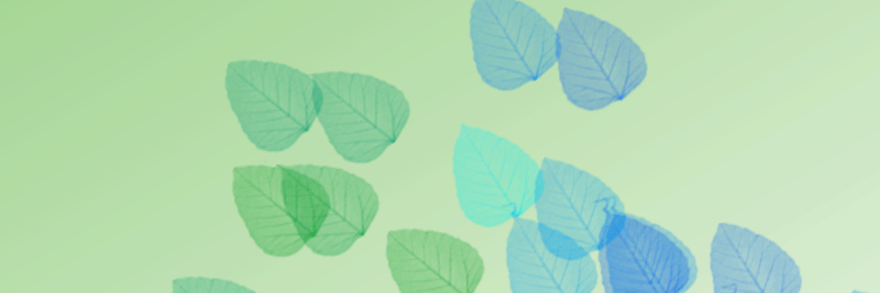 se323006's profile banner image
