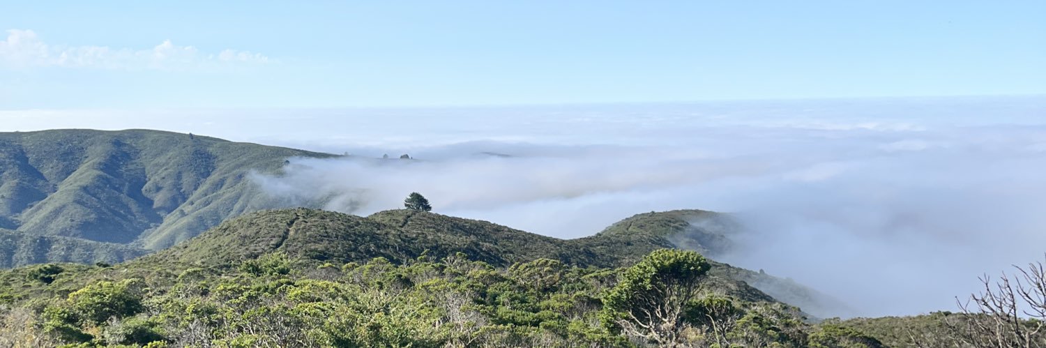antnivega's profile banner image