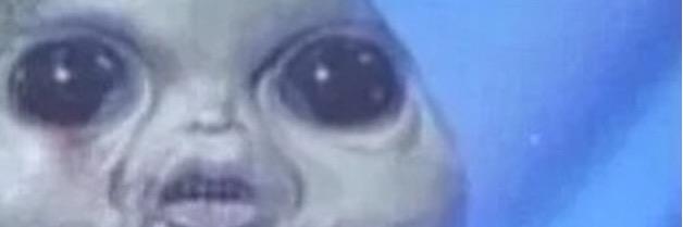 AsstinMccn's profile banner image