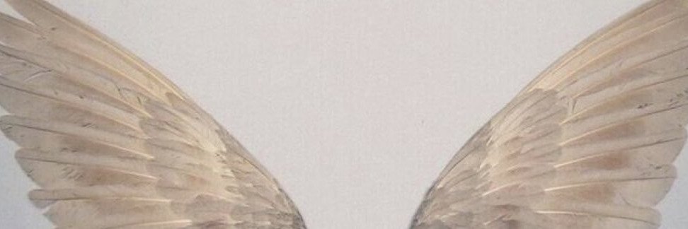 aabb2250's profile banner image