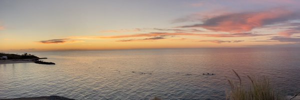 fintasticem Profile Banner