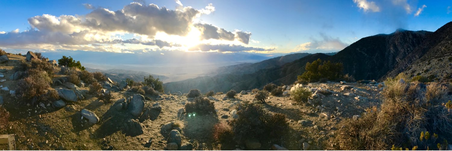 Cormac Bluestone banner