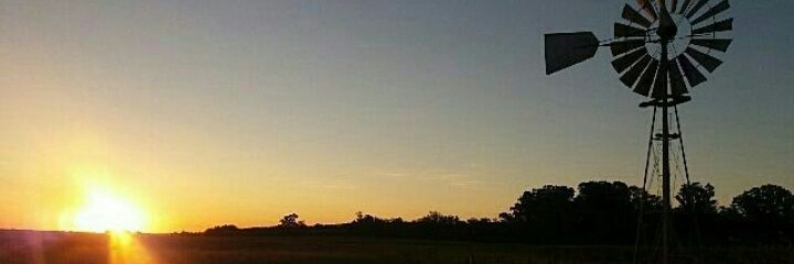 77Luucas's profile banner image