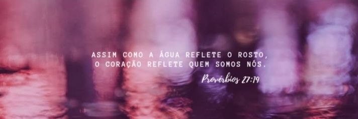 Sônia Regina banner