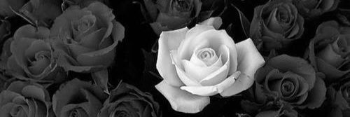 Thin_Sinner_'s profile banner image