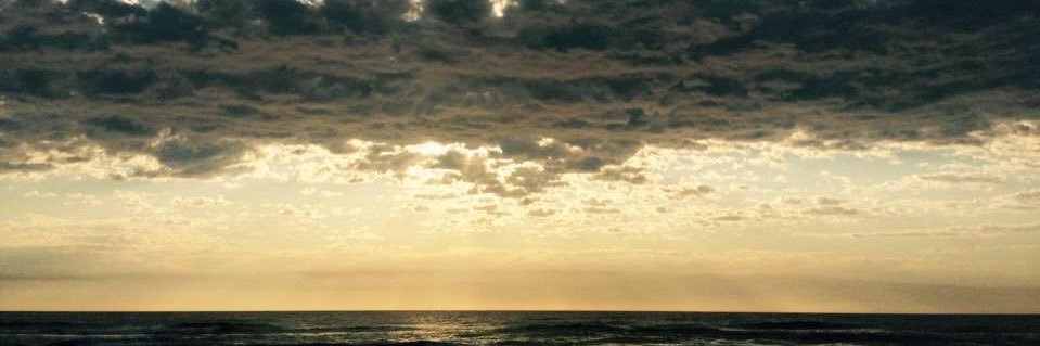 swati bathwal banner