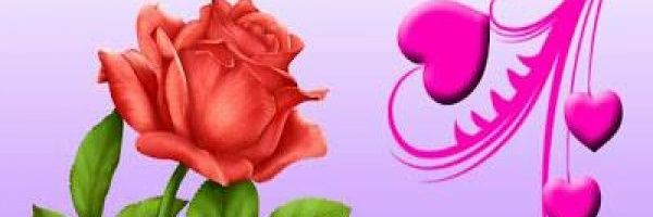 AlbaAlbino's profile banner image