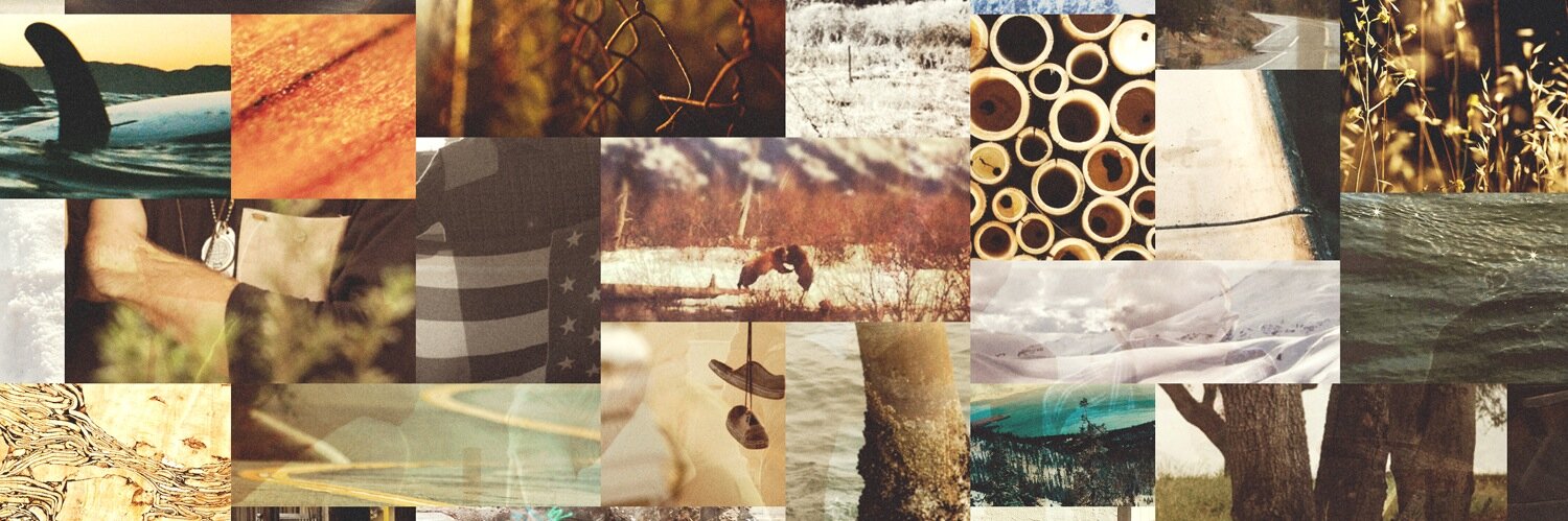 Arbor Collective banner