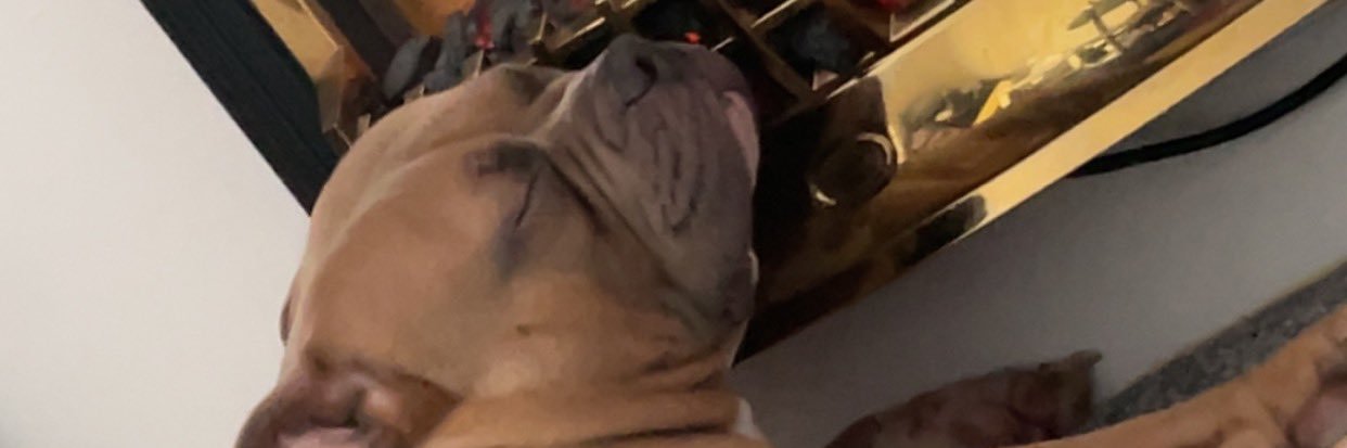 tasha_leighton's profile banner image