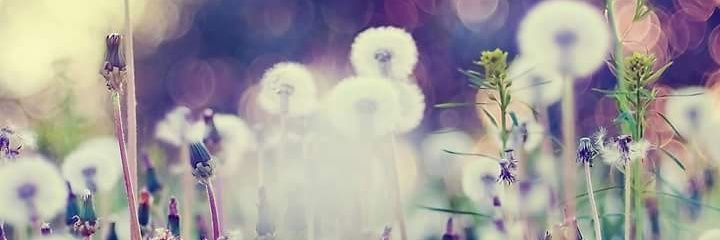 elifergin5555's profile banner image