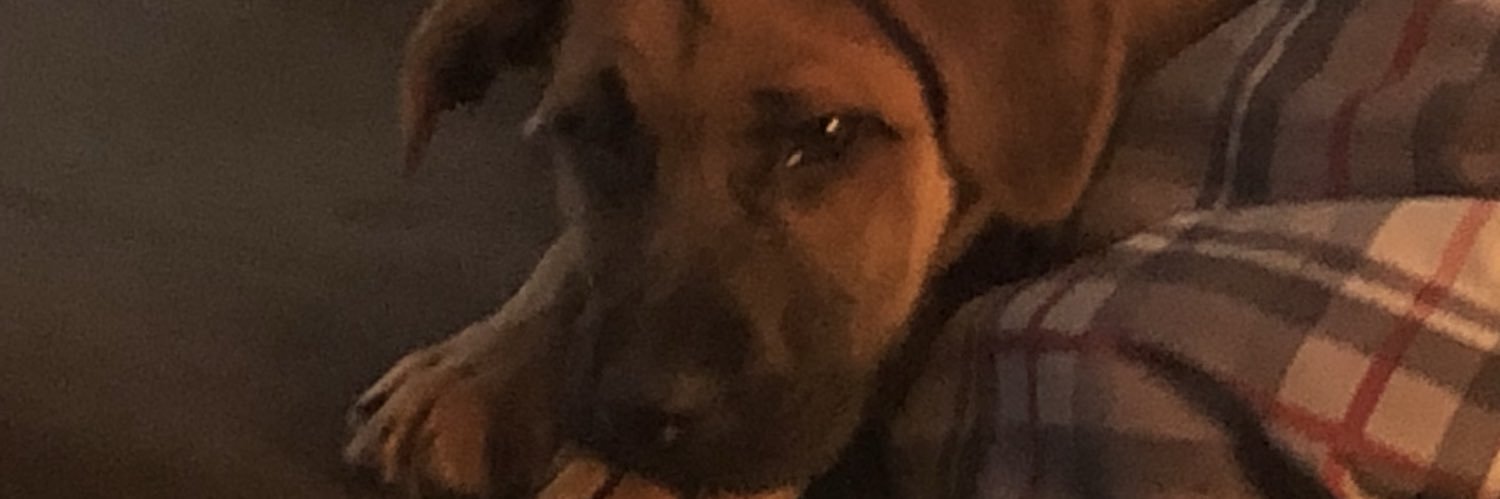 queen4realz's profile banner image