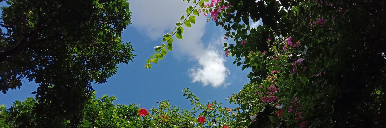 Ryo_1012_HD's profile banner image