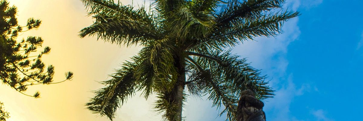 Ramirez_K11's profile banner image