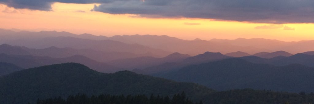 laurajmay's profile banner image