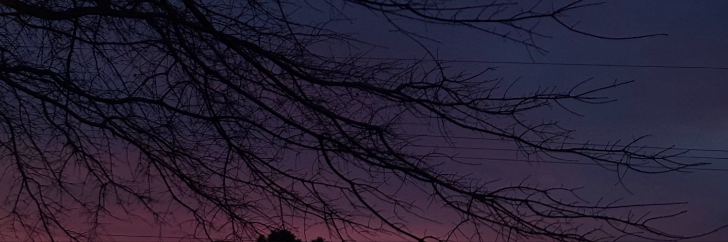 hellodenae's profile banner image