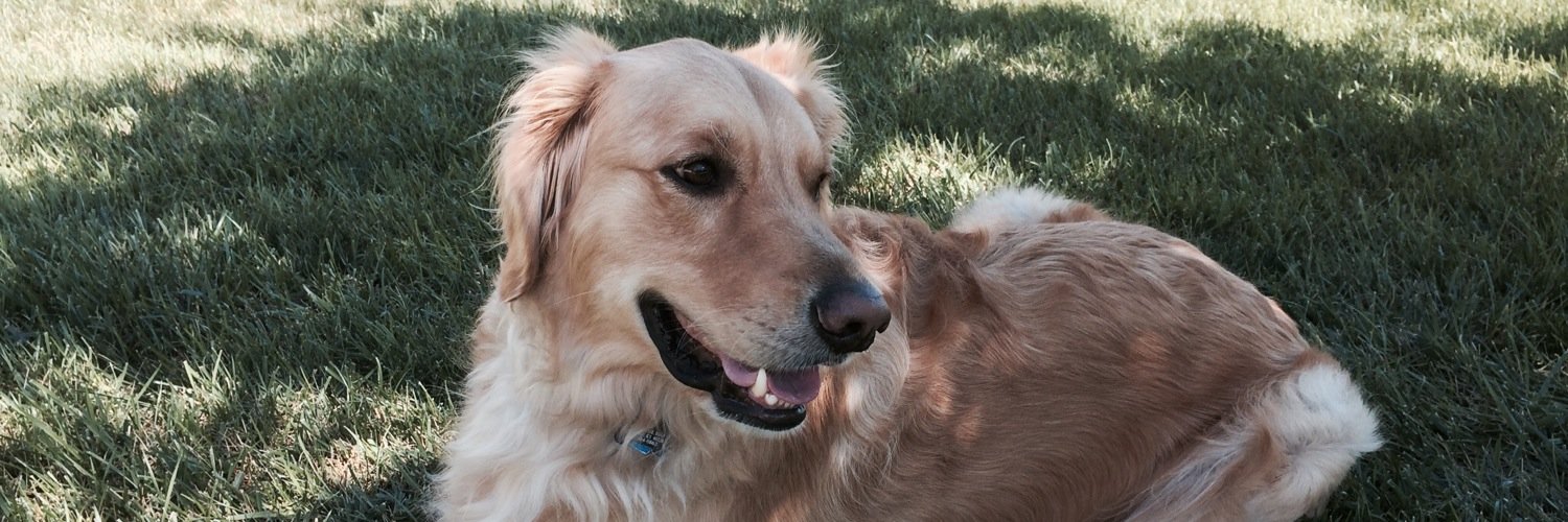 Booper74's profile banner image