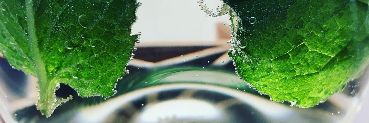 reicoga's profile banner image