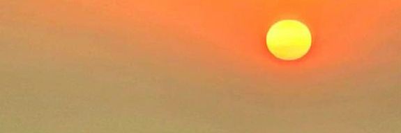 cryptobet007's profile banner image