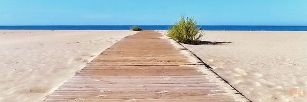 NumbeerOnne's profile banner image