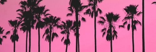 lualon's profile banner image