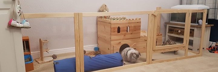 ManorPet's profile banner image