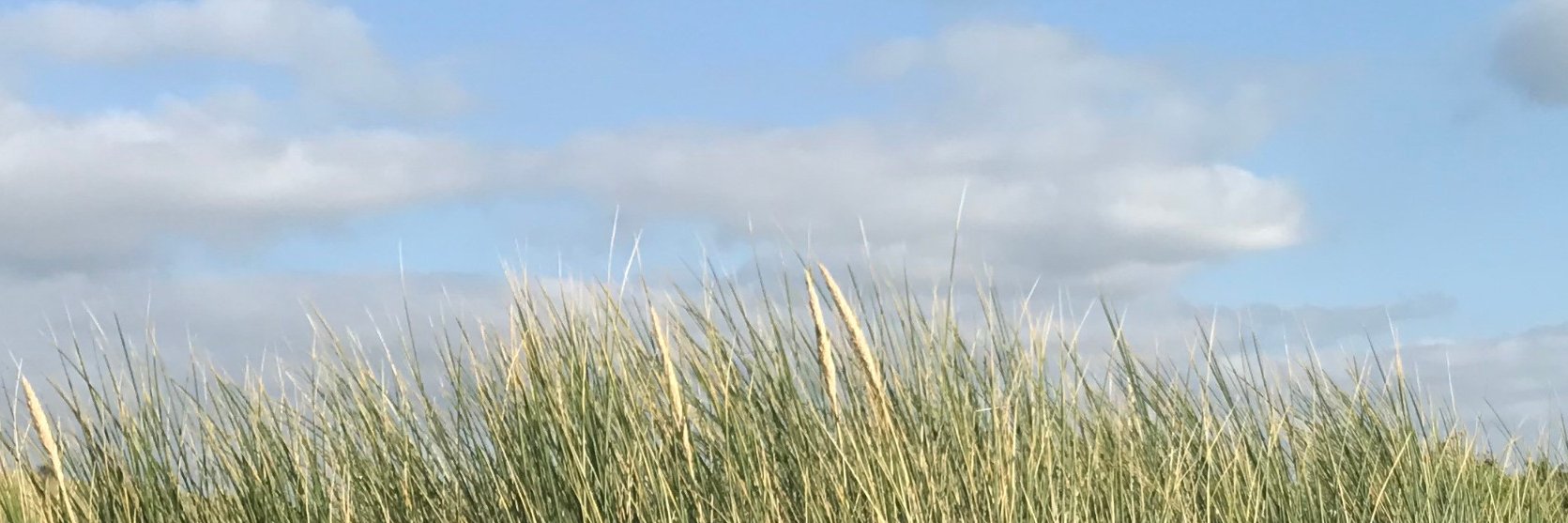 Myliap's profile banner image