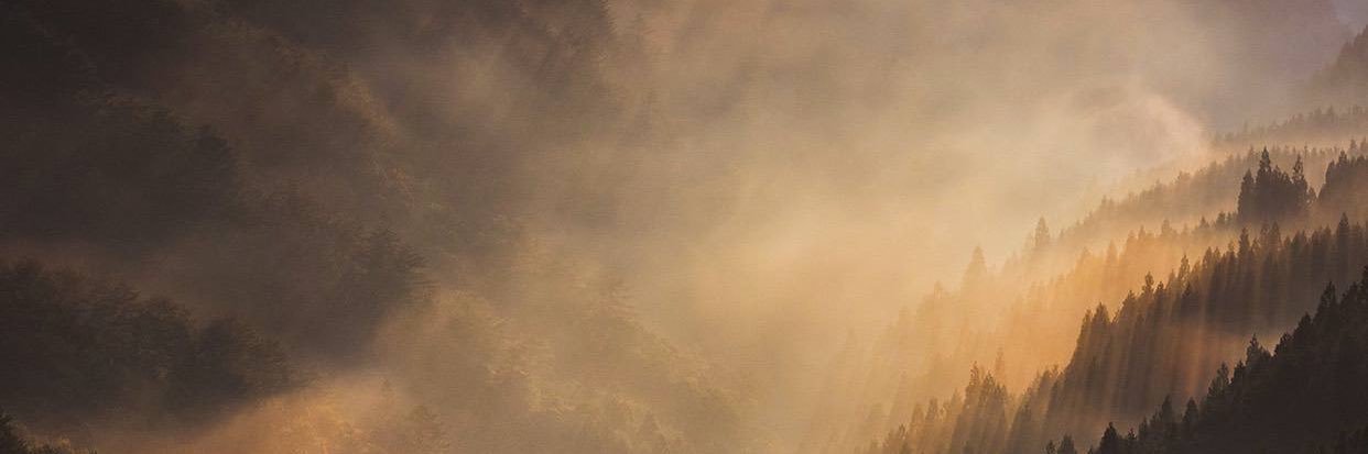 LuiesEstrada's profile banner image