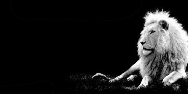 Twitter banner for @Prodigal