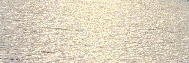 lifeislifewhat's profile banner image